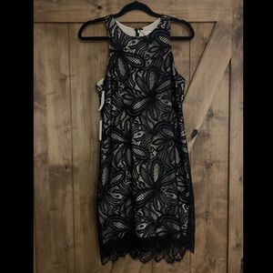 Babaton black lace dress with tan underlay from Aritzia